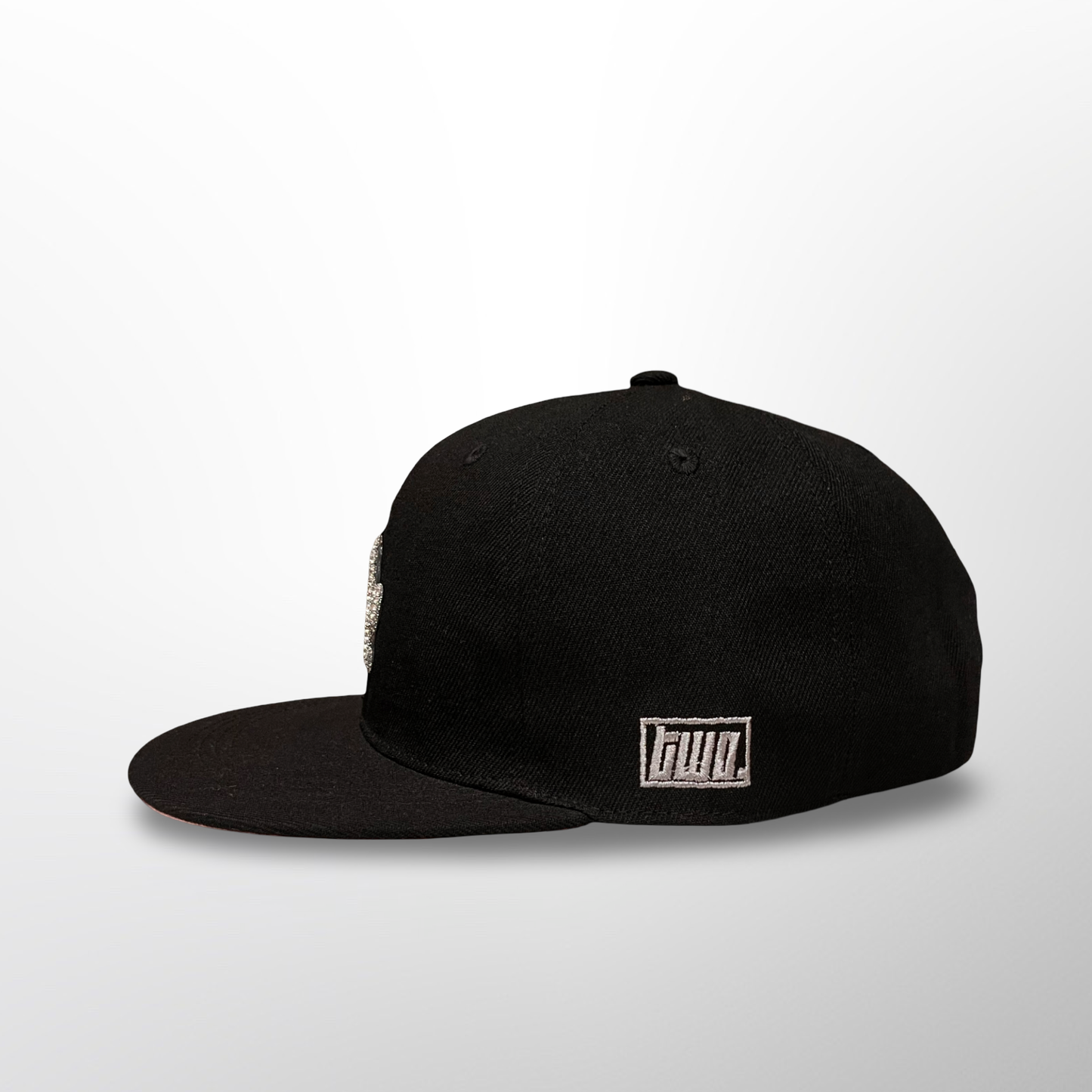 Diamonds Dancing LA - Black Snap Back