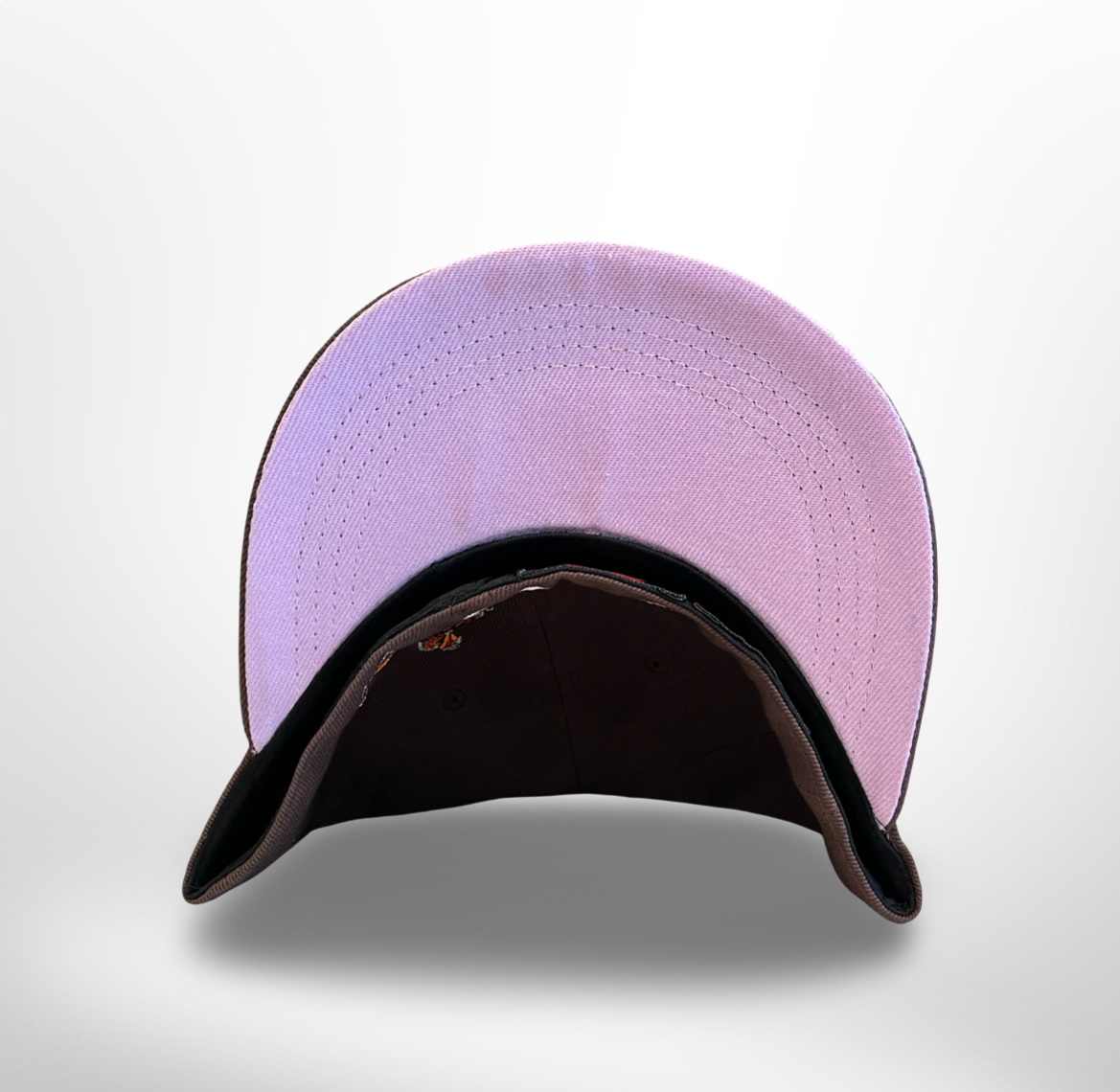 Boston Butterflies - Brown Fitted