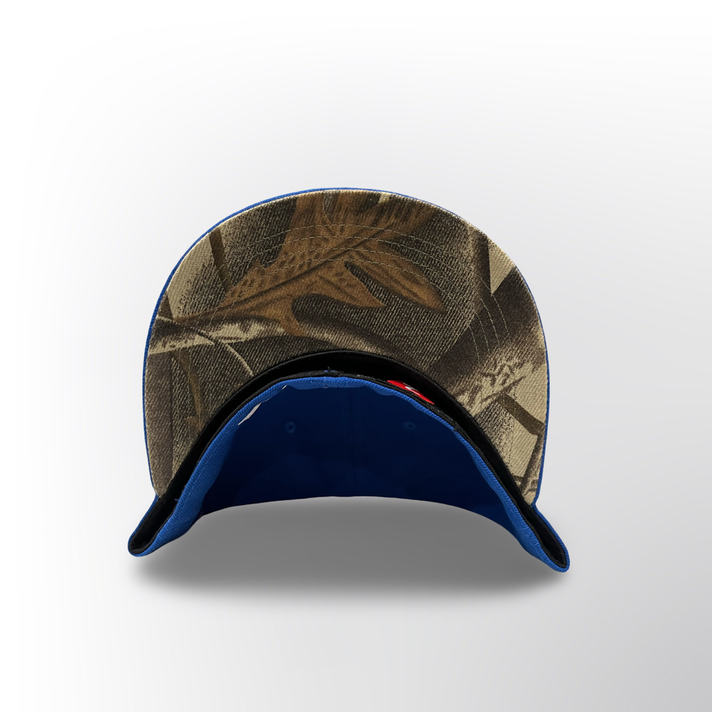 Diamonds Dancing LA - Royal Blue Fitted